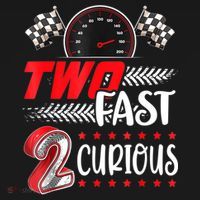Two Fast 2 Curious Birthday Decorations 2nd Bday USA-Made Doggie Bandana thumb 2