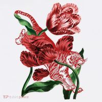 Tiger Flower Art Doggie Tank thumb 4