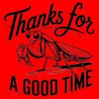 Thanks For A Good Time Praying Mantis Santa Hat thumb 1