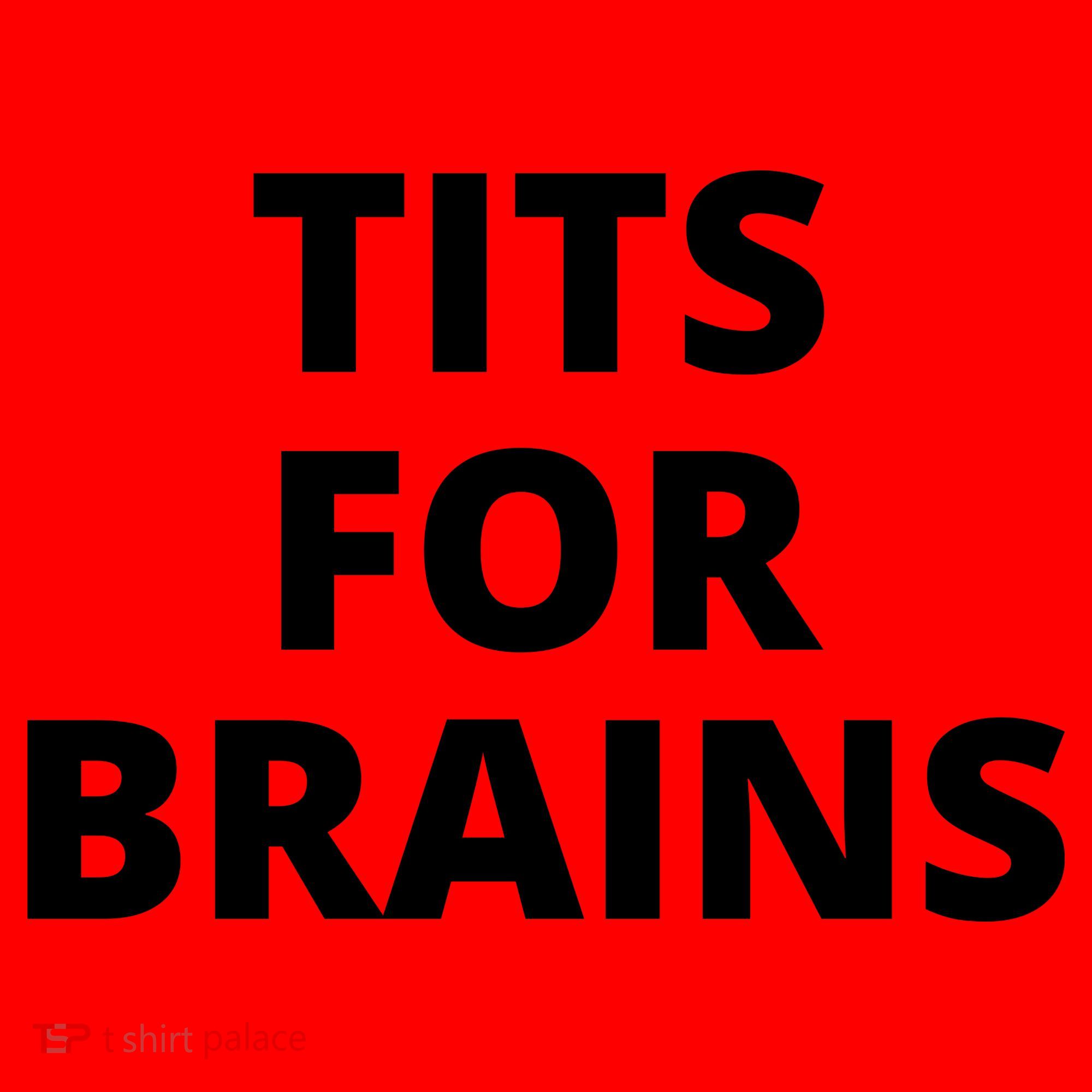 Tits For Brains, Funny Tits Quote, Cool Tits Feminist Idea Santa Hat