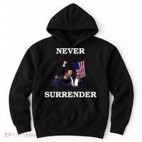 Trump Fist Bump In Air Never Surrender 2024 Hoodie thumb 0