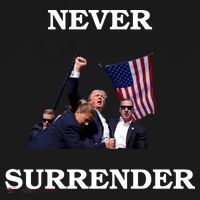 Trump Fist Bump In Air Never Surrender 2024 Visor thumb 3