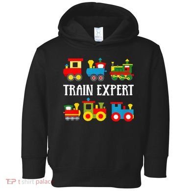 Trains Funny Boy Train Expert Toddler Hoodie