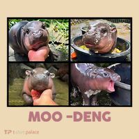 The Famous Baby Pigmy Hippo Moodeng Tote Bag thumb 4