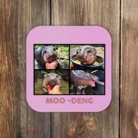 The Famous Baby Pigmy Hippo Moodeng Coaster thumb 0