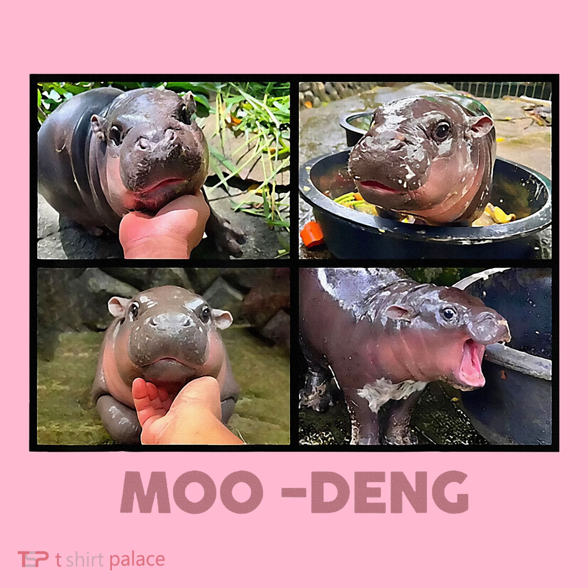 The Famous Baby Pigmy Hippo Moodeng Coaster