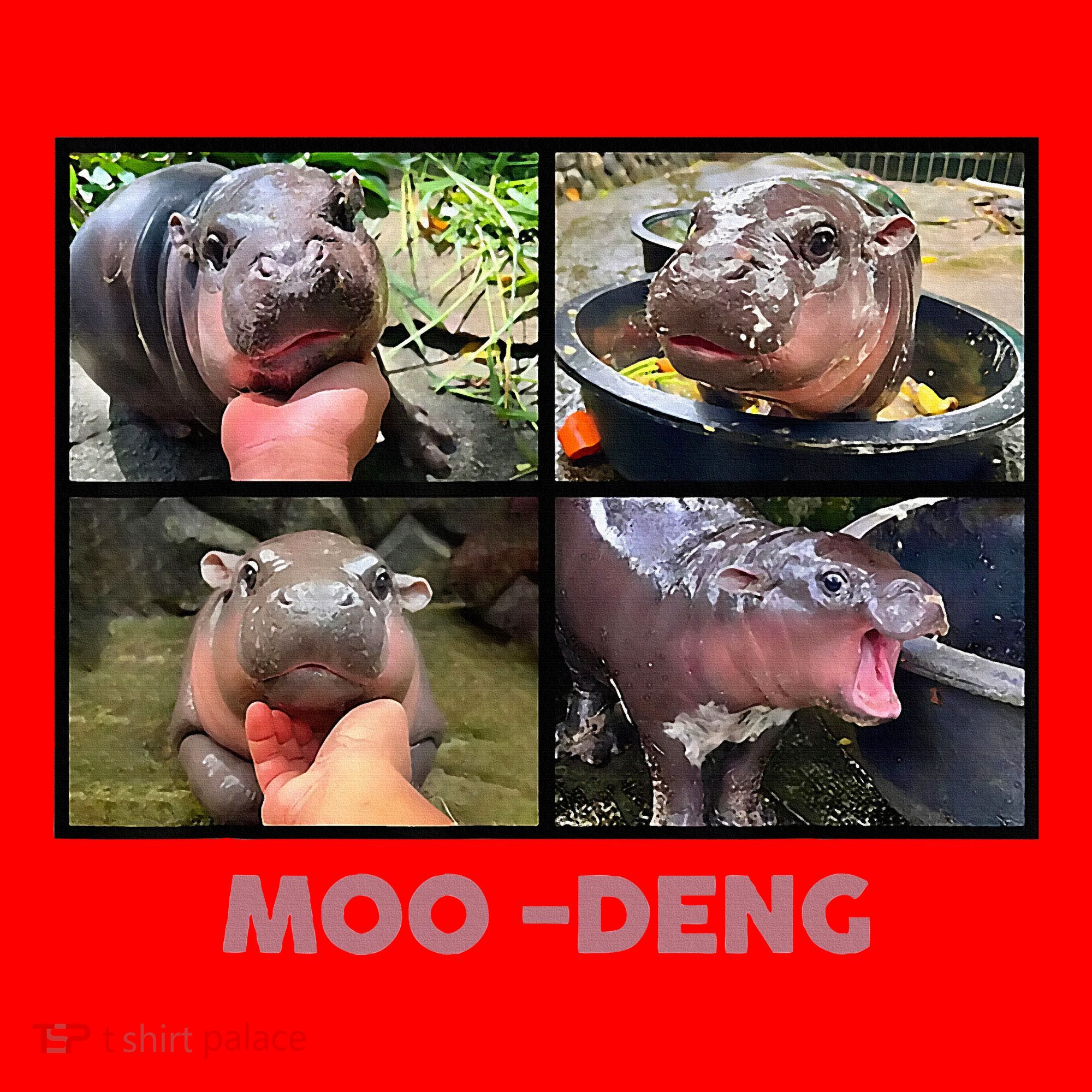 The Famous Baby Pigmy Hippo Moodeng Santa Hat