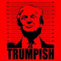 Trumpish Funny Donald Trump Mugshot Santa Hat thumb 1