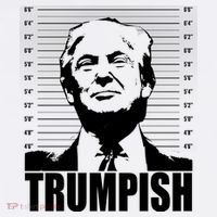 Trumpish Funny Donald Trump Mugshot T-Shirt thumb 7