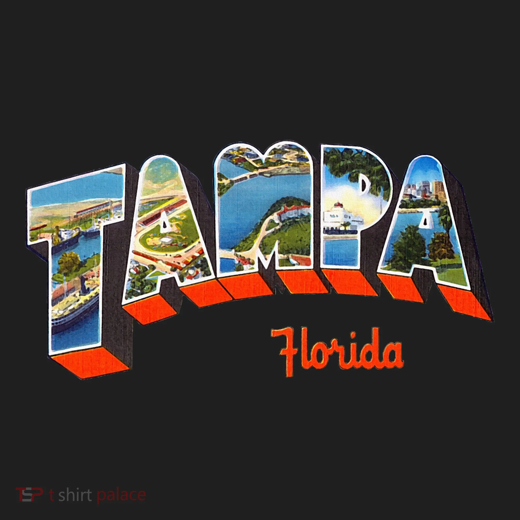 Tampa Florida Fl Beanie
