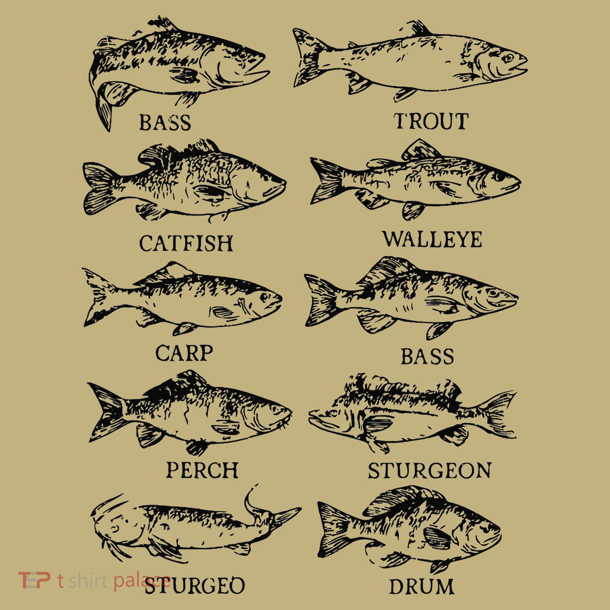 Types Freshwater Fish Funny Fisherman T-Shirt