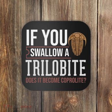 Trilobite Fossil Gift Future Paleontologist Coaster