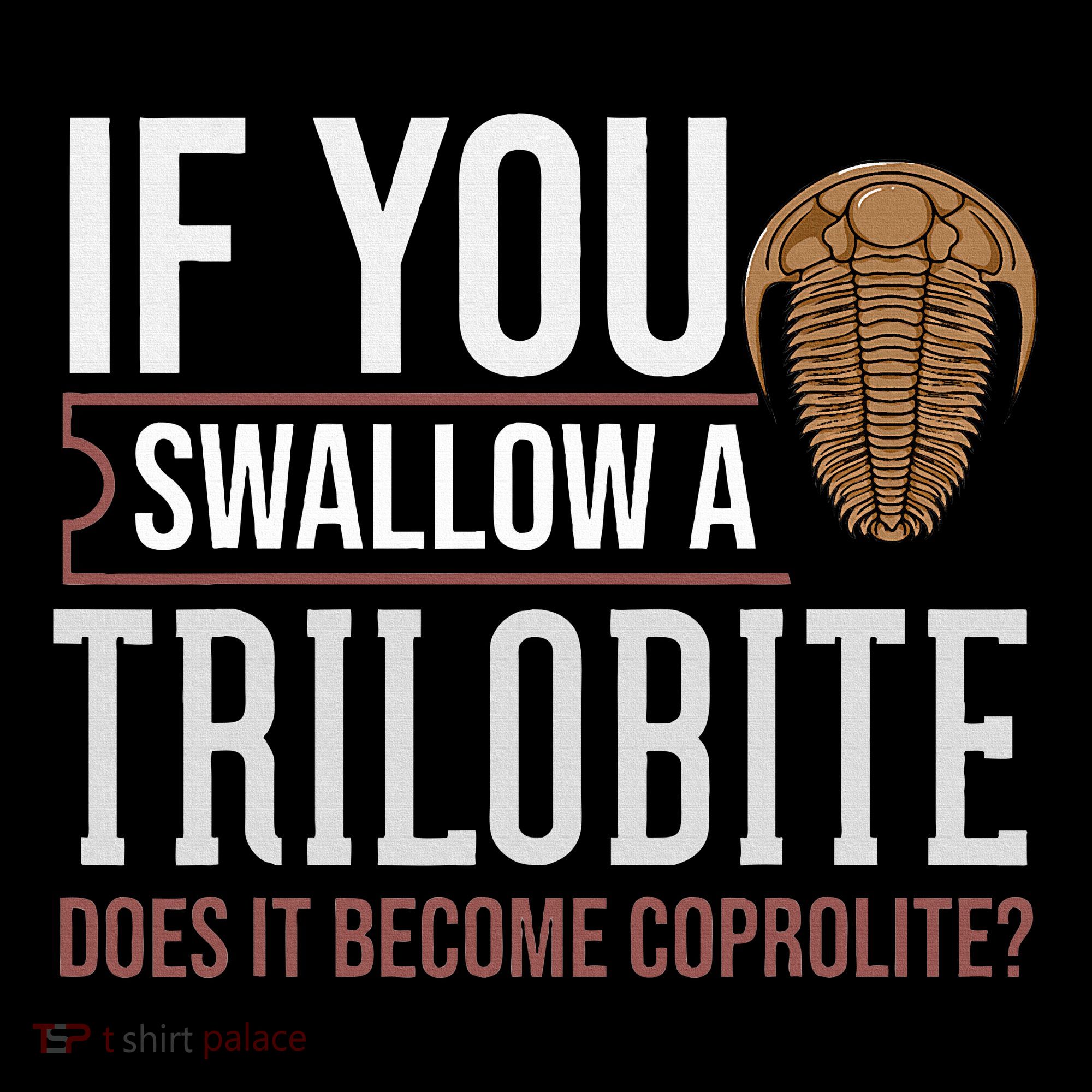 Trilobite Fossil Gift Future Paleontologist Women's Hoodie