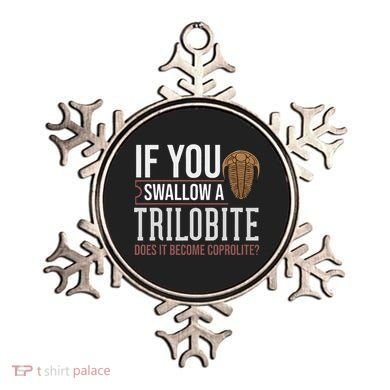 Trilobite Fossil Gift Future Paleontologist Ornament