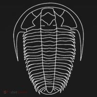 Trilobite  Fossil  Geology Geologist Rockhound Women's Hoodie thumb 2