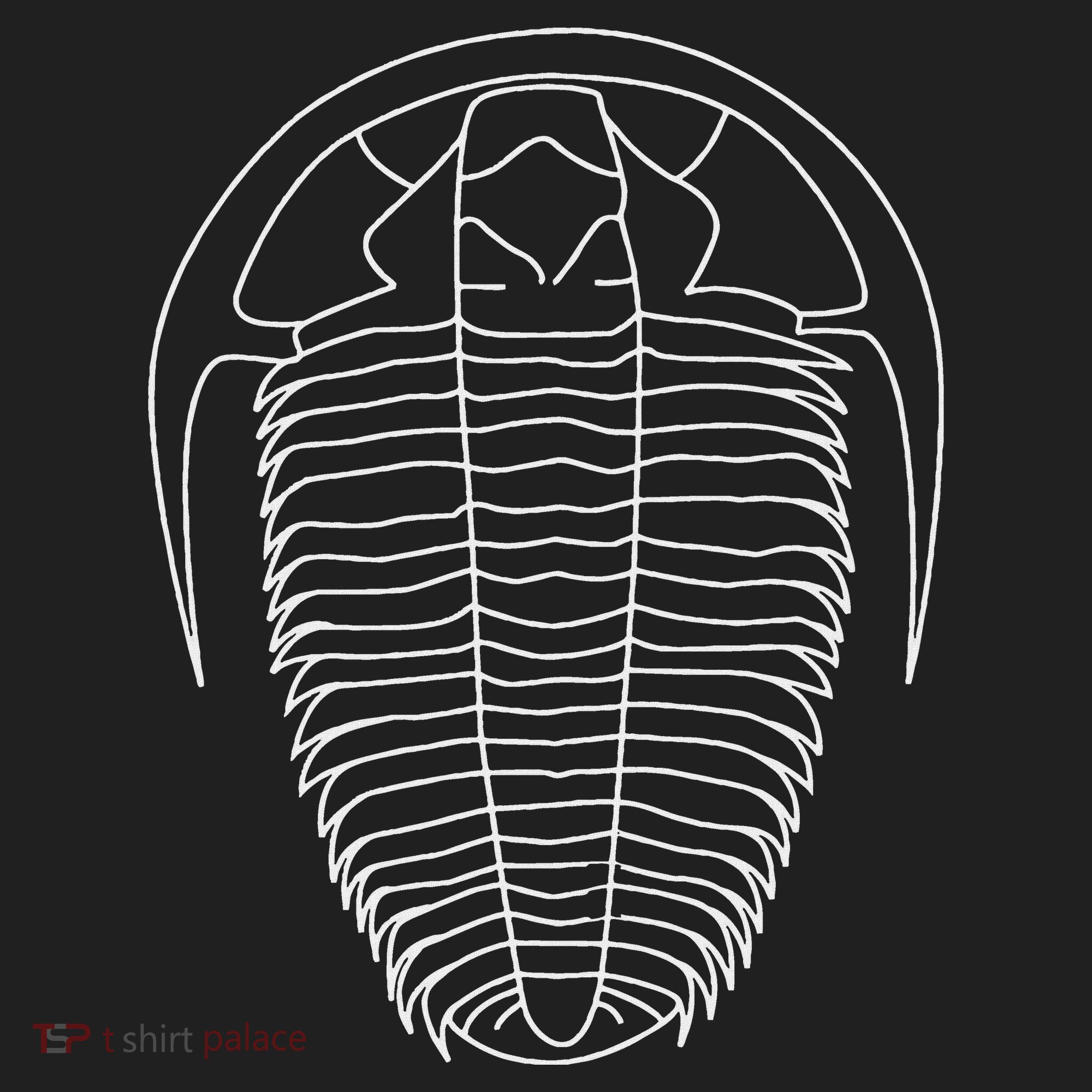Trilobite  Fossil  Geology Geologist Rockhound Hat