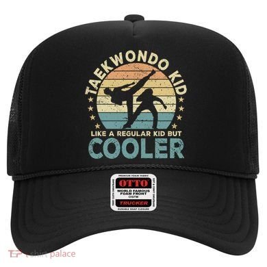 Taekwondo Funny Great Gift Hat