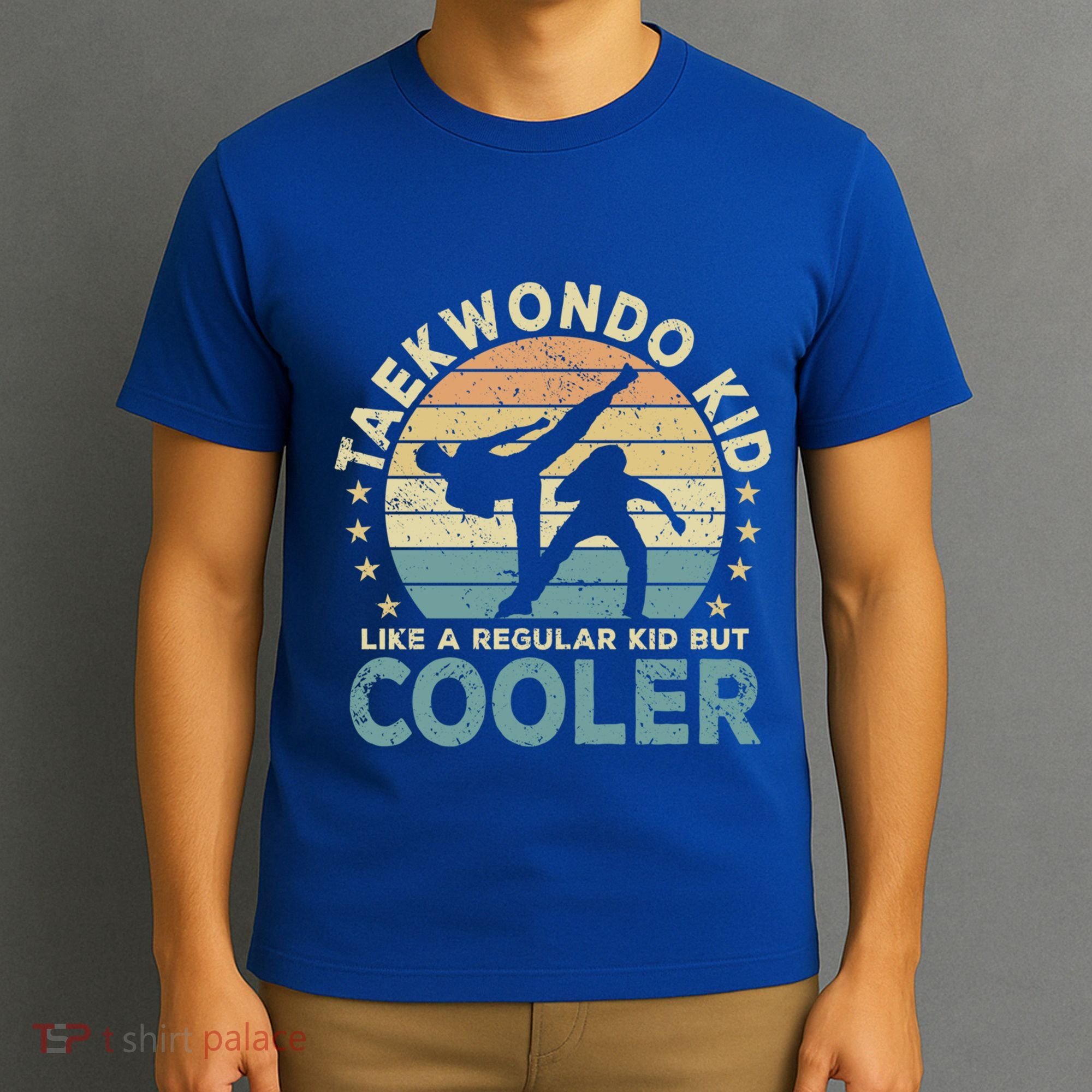 Taekwondo Funny Great Gift T-Shirt