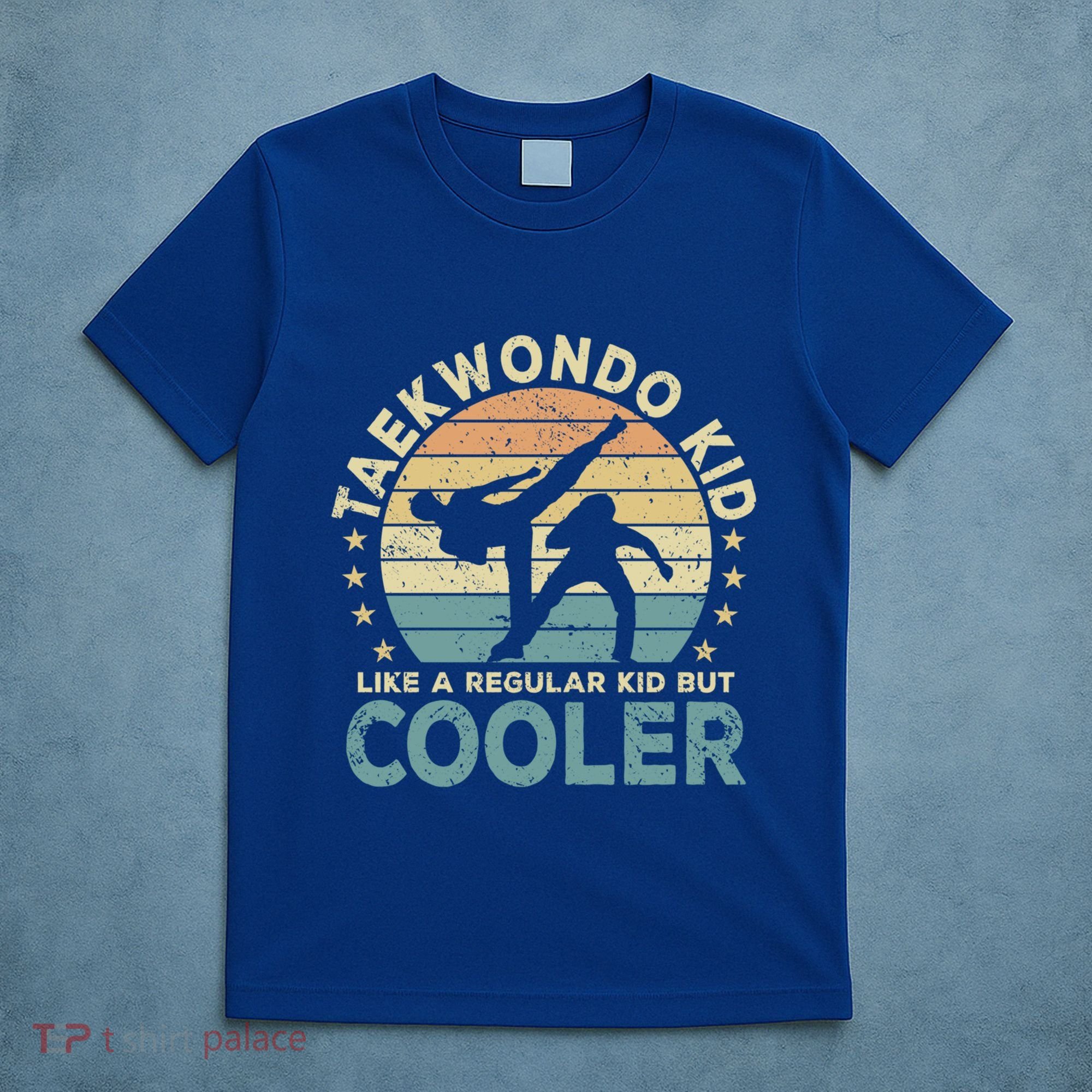Taekwondo Funny Great Gift T-Shirt