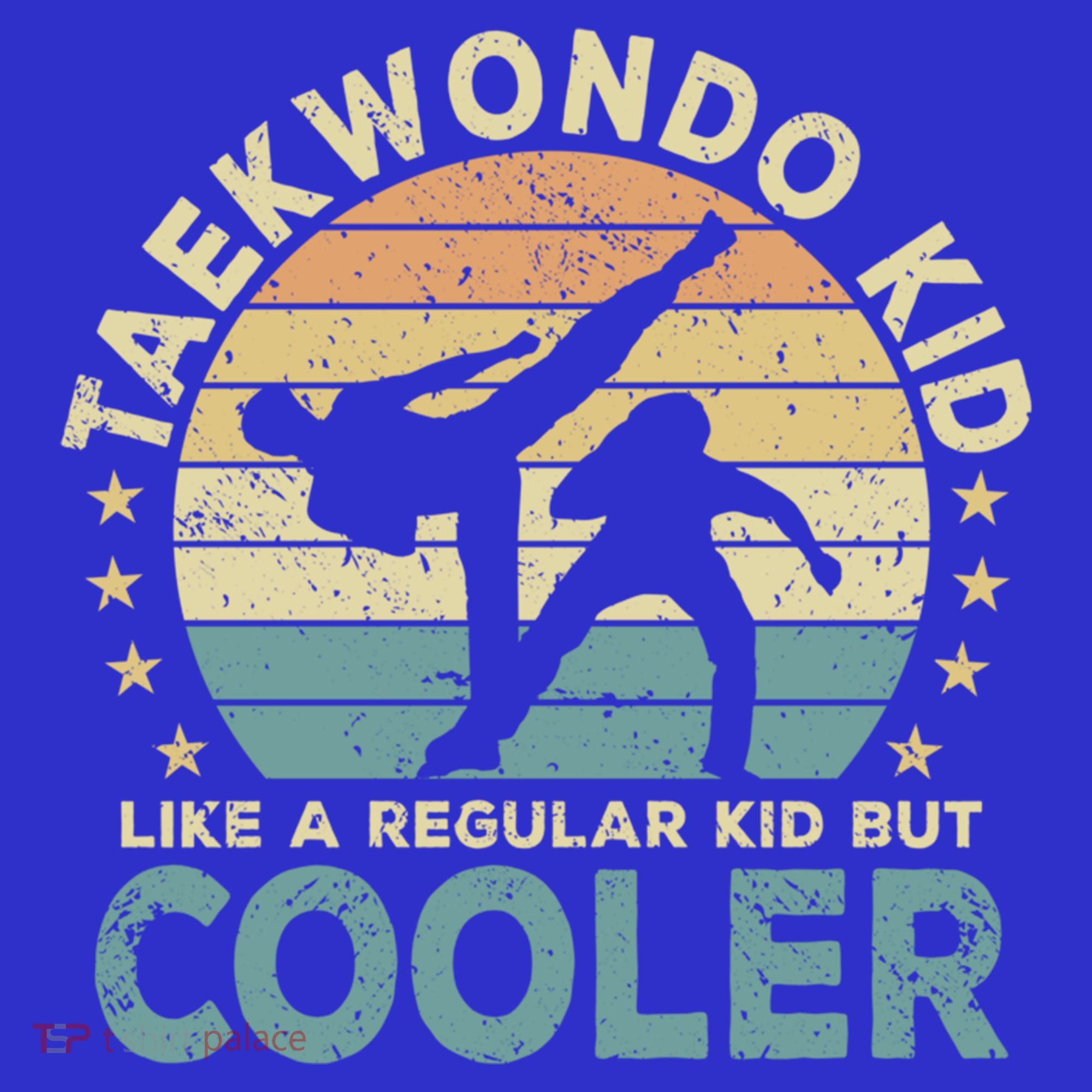 Taekwondo Funny Great Gift Visor