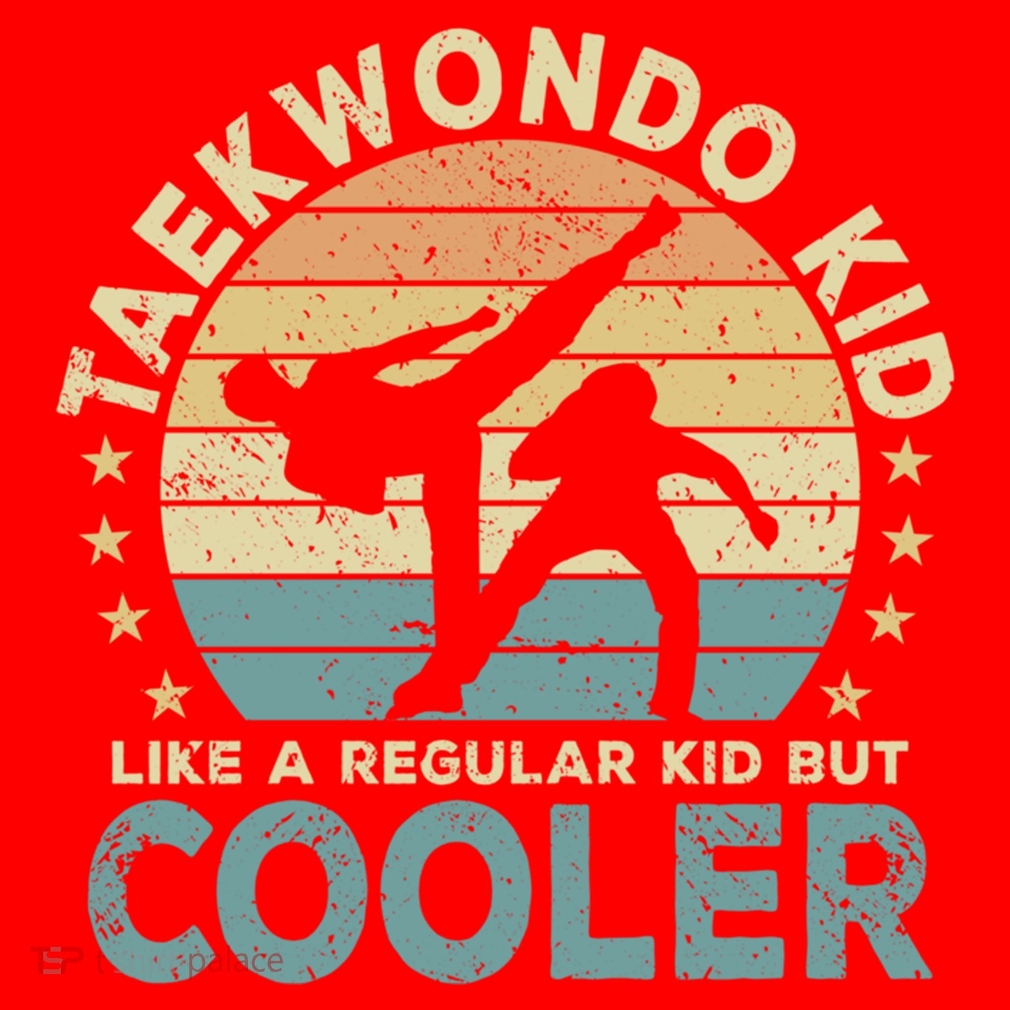 Taekwondo Funny Great Gift Santa Hat