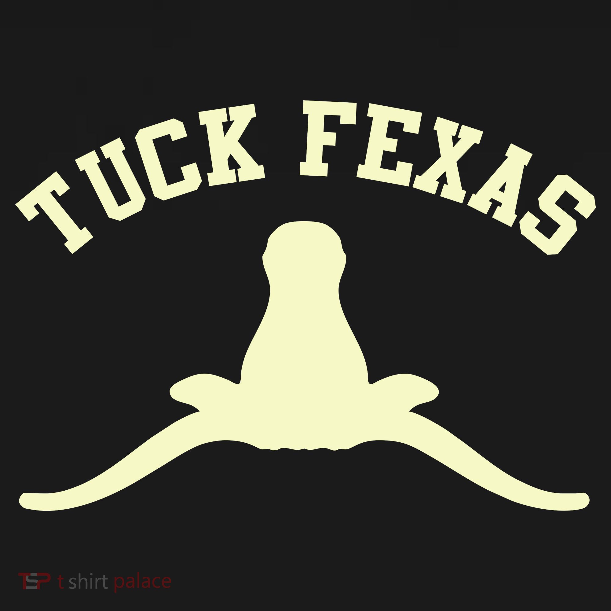 Tuck Fexas Horns Down Texas Women's Hoodie