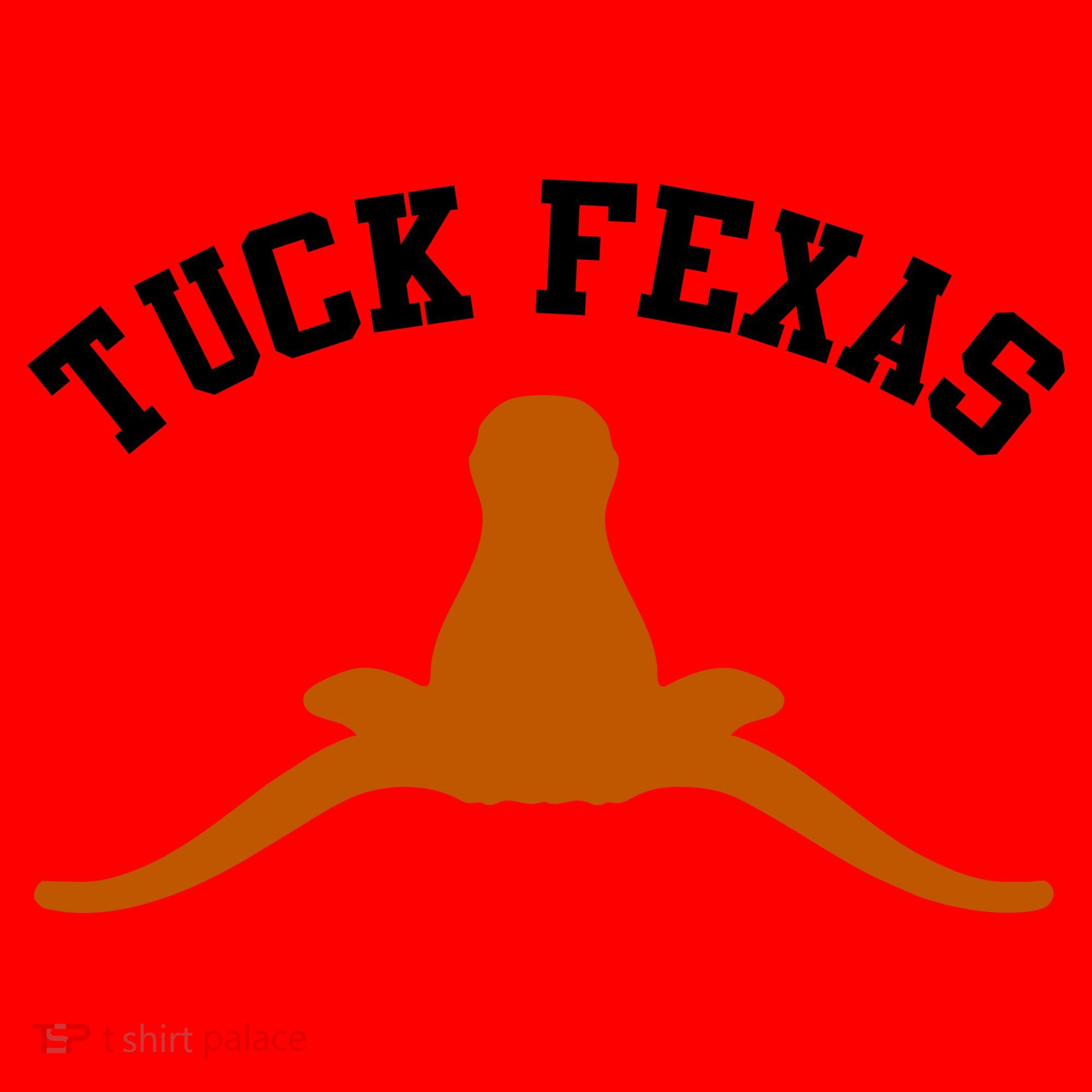 Tuck Fexas Horns Down Texas Santa Hat