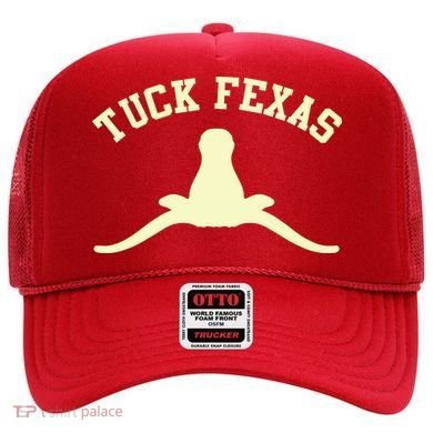 Tuck Fexas Horns Down Texas Hat