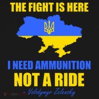 The Fight Is Here I Need Ammunition, Not A Ride Support Ukraine Women's Hoodie thumb 2