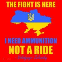 The Fight Is Here I Need Ammunition, Not A Ride Support Ukraine Santa Hat thumb 1
