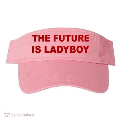 Visor