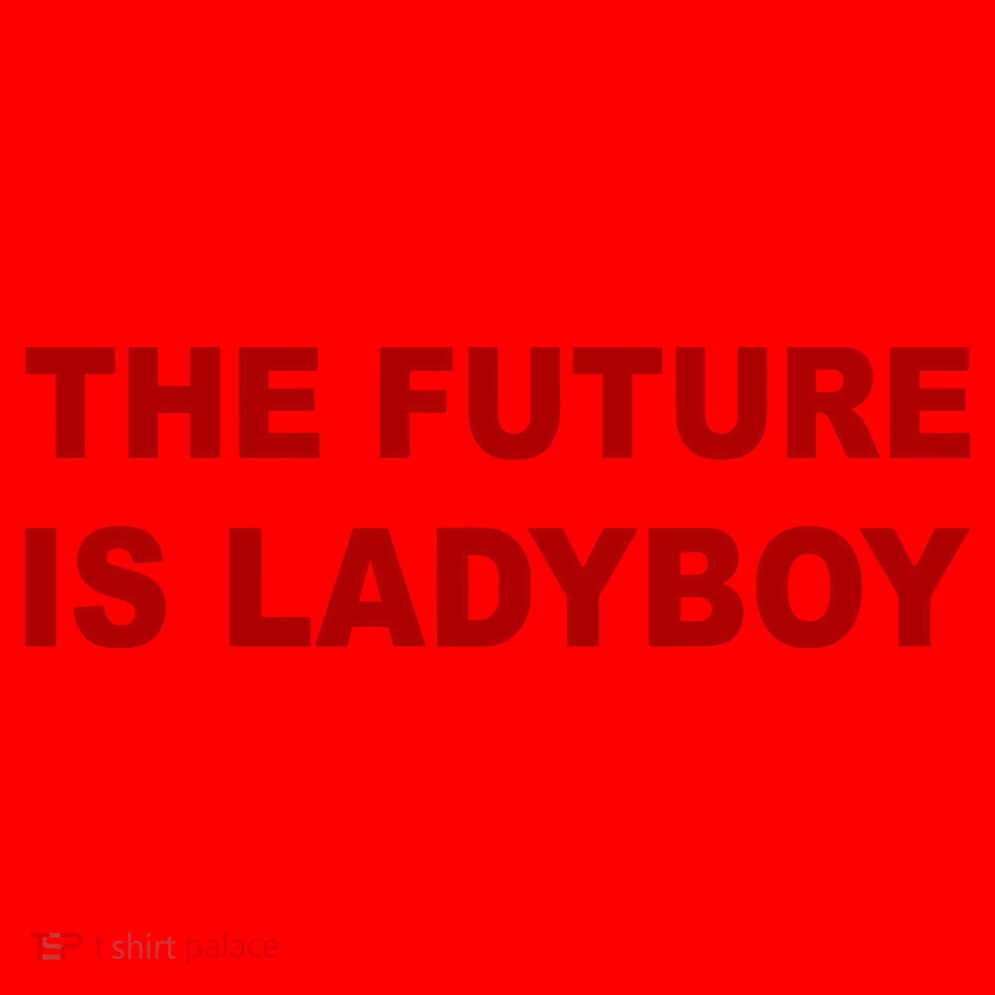 The Future Is Ladyboy Santa Hat