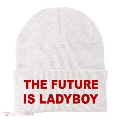 The Future Is Ladyboy Beanie
