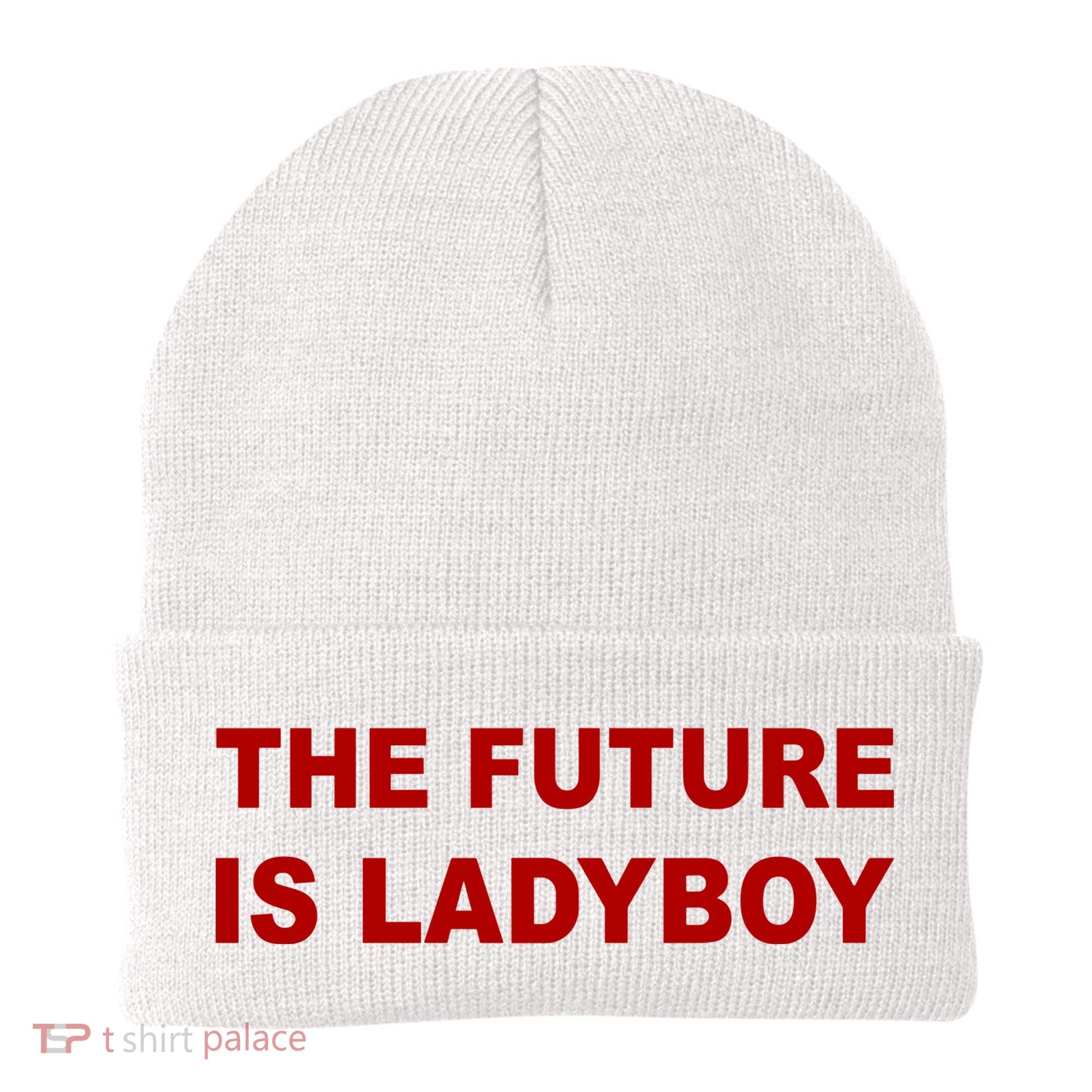 The Future Is Ladyboy Beanie