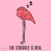 Tired Flamingo Lazy Flamingo The Struggle Is Real Coaster thumb 2