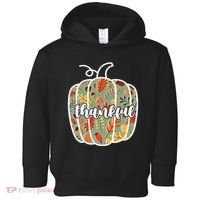 Thankful Fall Nature Pumpkin Toddler Hoodie thumb 0