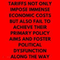 Tariffs Foster Political Dysfunction - Donald J Trump Santa Hat thumb 1