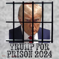 Trump For Prison 2024 Mugshot Election Parody Behind Bars Kids T-Shirt thumb 2
