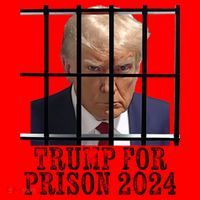 Trump For Prison 2024 Mugshot Election Parody Behind Bars Santa Hat thumb 1