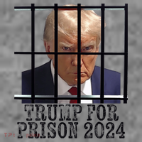 Trump For Prison 2024 Mugshot Election Parody Behind Bars Toddler Hoodie thumb 2