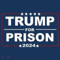 Trump For Prison 2024 Support Trump 4th Of July T-Shirt thumb 7