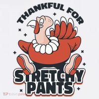 Thankful For Stretchy Pants Funny Turkey Baby Bodysuit thumb 2