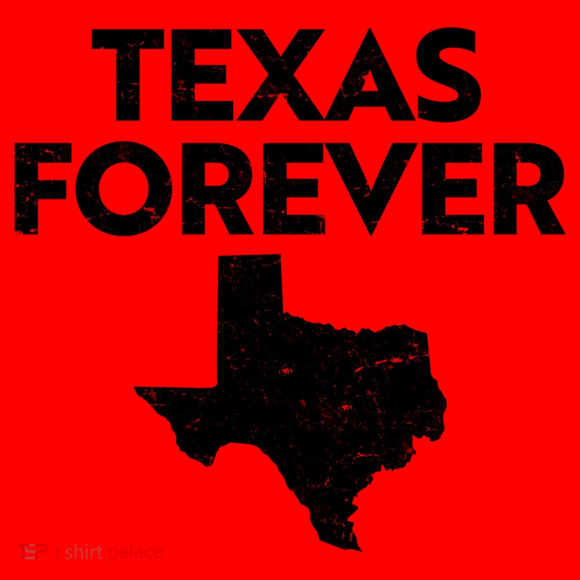 Texas Forever Texas State Santa Hat