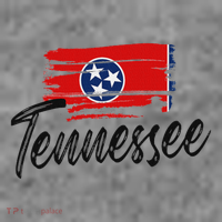 Tennessee Flag Tennessean Tennessee Flag State Pride Toddler Hoodie thumb 2