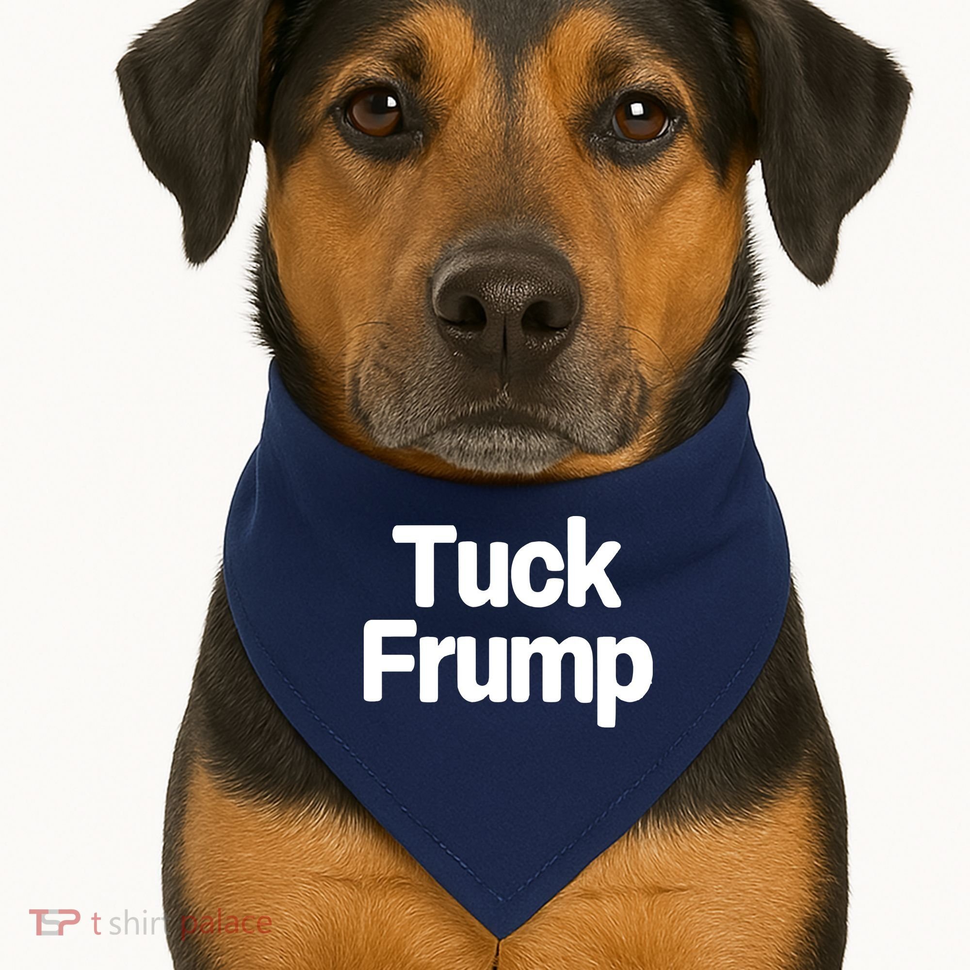 Tuck Frump USA-Made Doggie Bandana