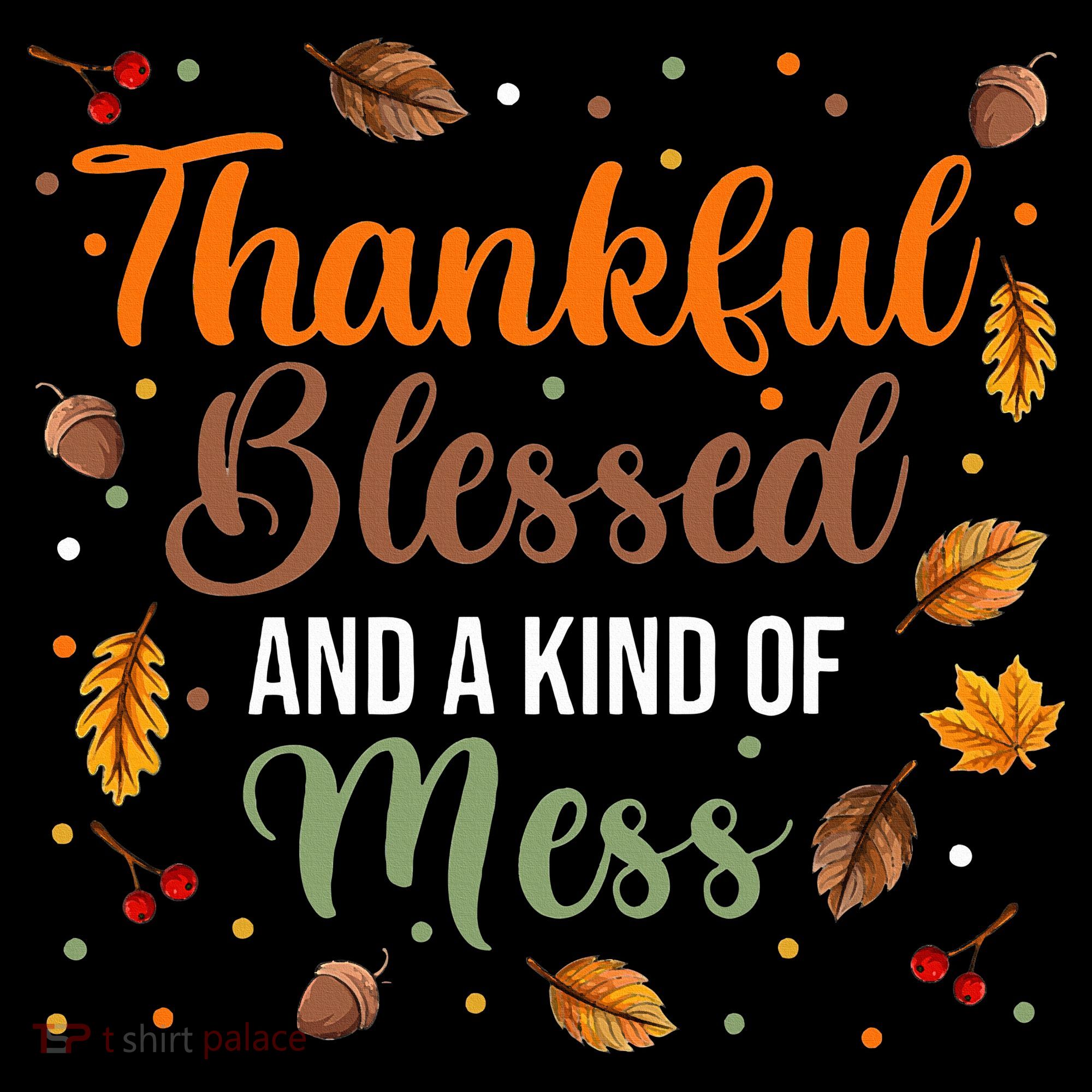 Thanksgiving Fall Thankful Blessed and Kind of A Mess Hoodie