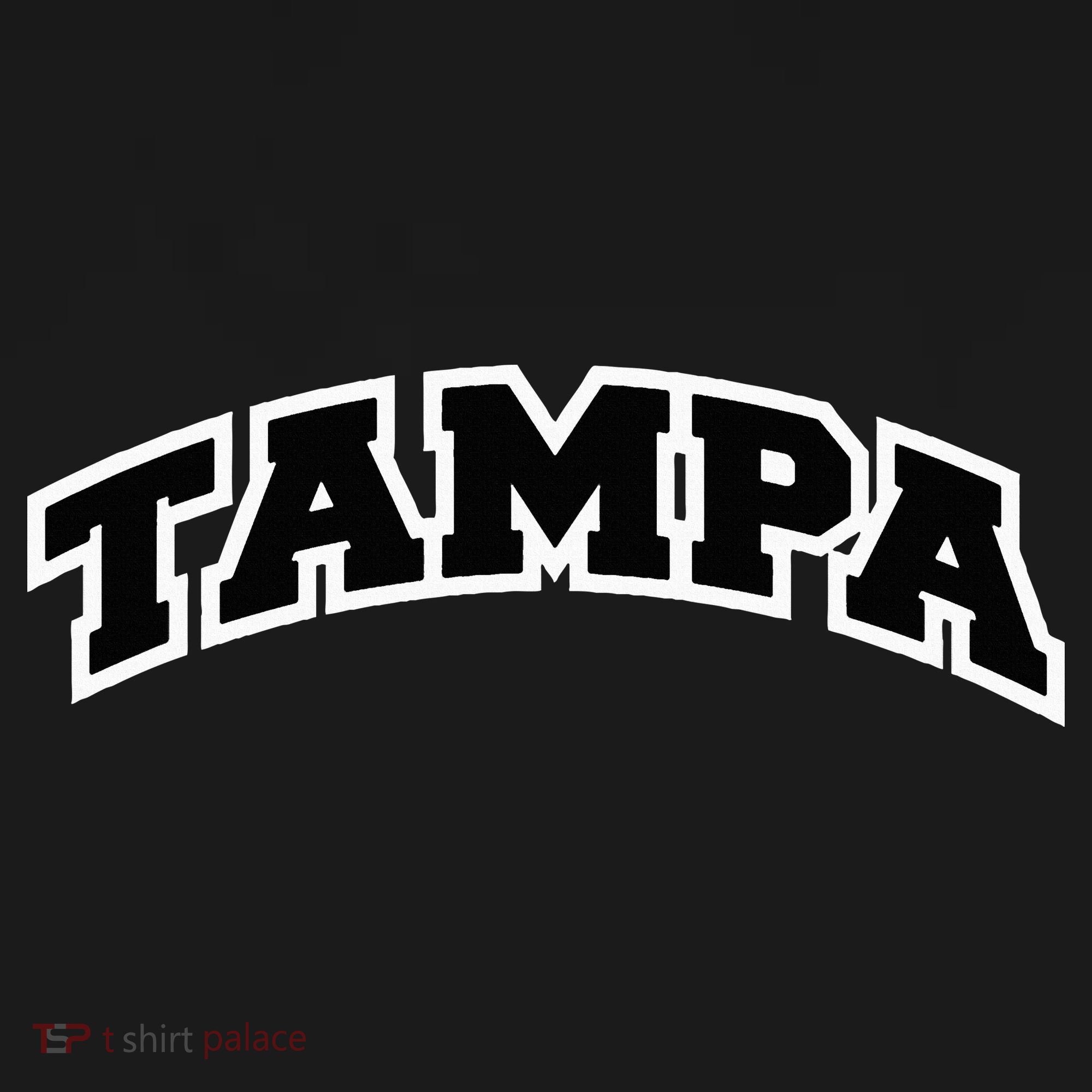 Tampa Florida Varsity Style Vintage Red T-Shirt