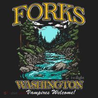 Twilight Forks Washington Vampires Welcome Plastic Christmas Ball Ornament thumb 1