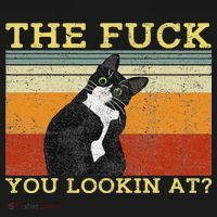 The Fuck You Lookin At Cat Lovers T-Shirt thumb 7