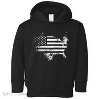 The Great American Flag Is In Our Hearts Toddler Hoodie thumb 0